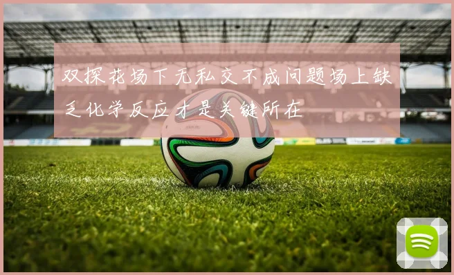 双探花场下无私交不成问题场上缺乏化学反应才是关键所在