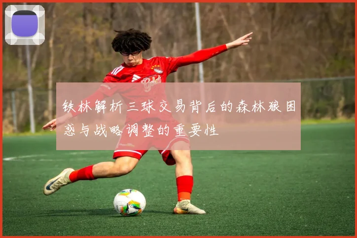 铁林解析三球交易背后的森林狼困惑与战略调整的重要性